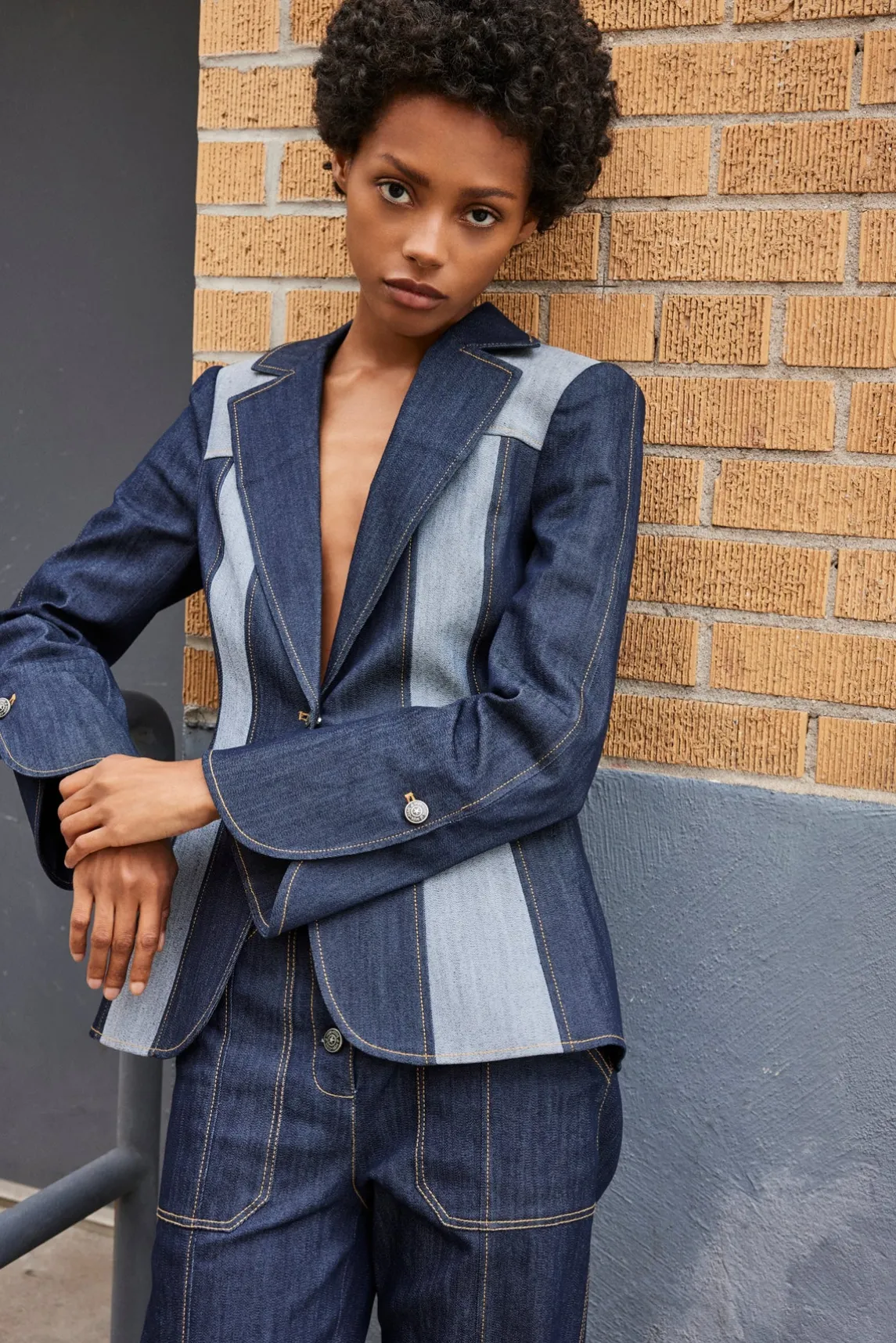 Cinq à Sept Celie Blazer<Women Jackets | Denim